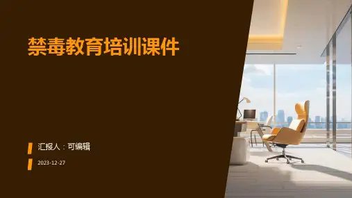 禁毒教育培训课件ppt