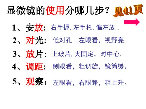 用显微镜观察口腔上皮细胞临时装片