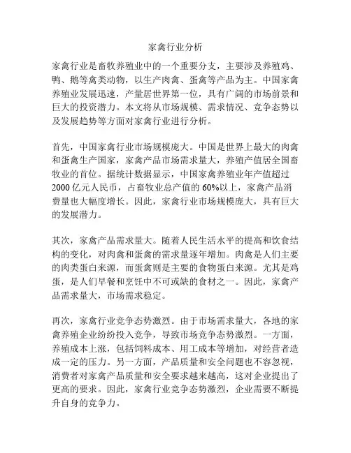 家禽行业分析