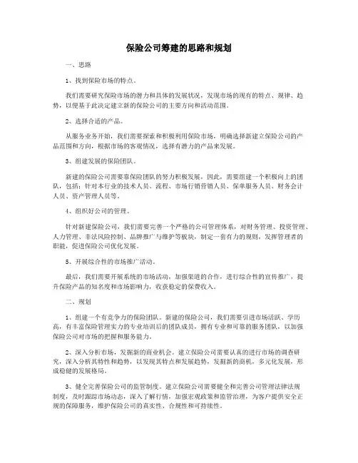 保险公司筹建的思路和规划