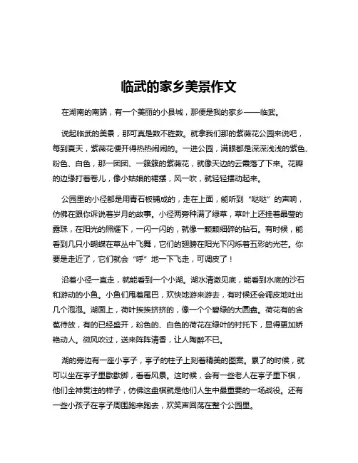 临武的家乡美景作文