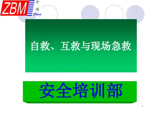 自救互救与现场急救PPT课件
