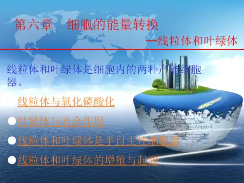 细胞生物学第六章(沈婷)