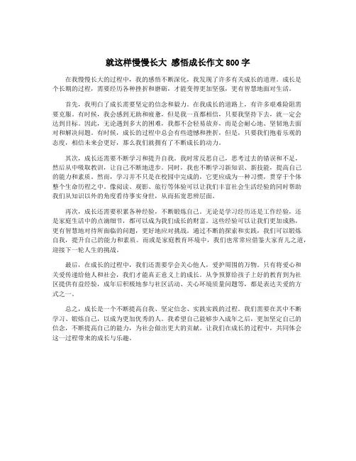 就这样慢慢长大 感悟成长作文800字