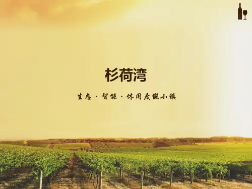 武汉光谷项目杉荷湾概念前策报告53p
