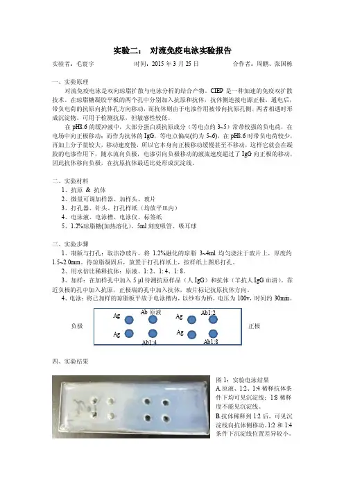 免疫学实验教学（复旦大学）实验报告