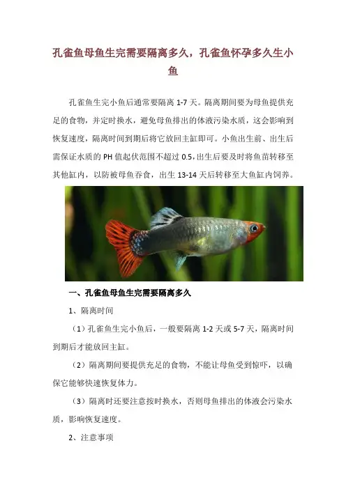 孔雀鱼母鱼生完需要隔离多久,孔雀鱼怀孕多久生小鱼