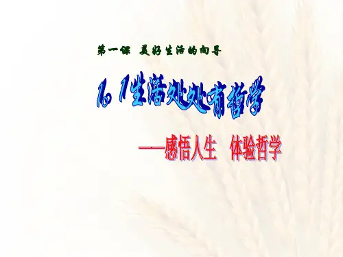 人教版高二政治必修4第一课：美好生活的向导(共40张PPT)