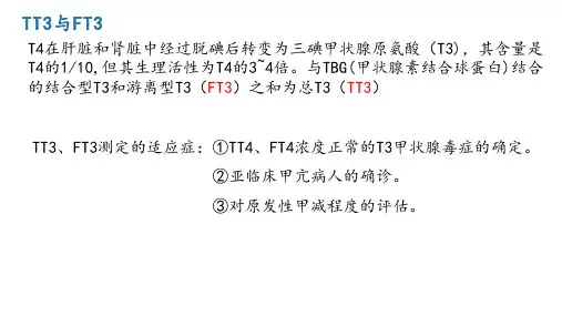甲状腺功能检查项目分析及意义