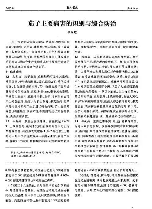 茄子主要病害的识别与综合防治