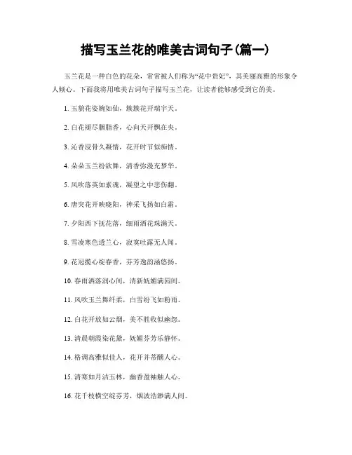 描写玉兰花的唯美古词句子(精选合集2篇)