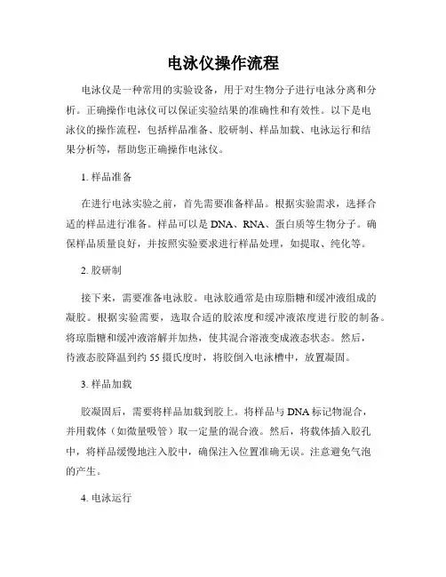 电泳仪操作流程