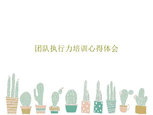 团队执行力培训心得体会41页PPT