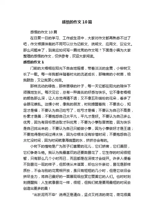 感悟的作文10篇