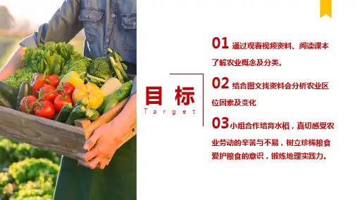 2.3.1农业区位因素与农业布局 高一地理课件(湘教版2019必修第二册)