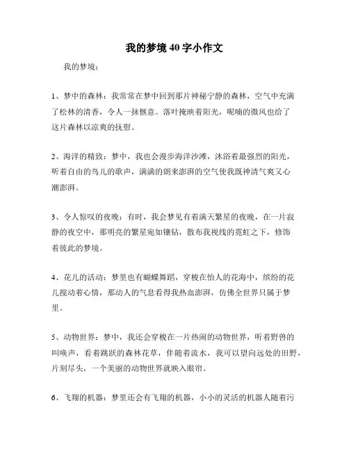 我的梦境40字小作文