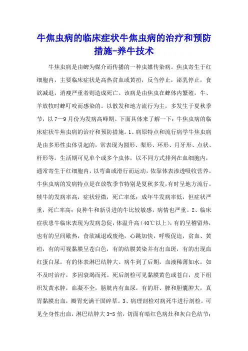 牛焦虫病的临床症状 牛焦虫病的治疗和预防措施 - 养牛技术