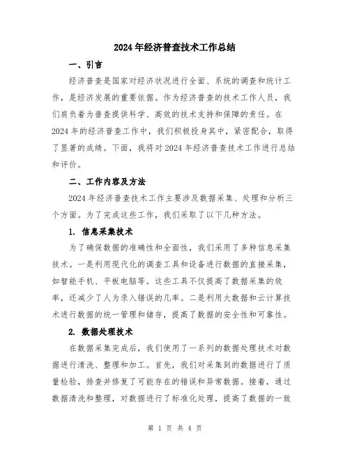 2024年经济普查技术工作总结