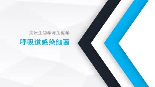 《病原生物学与免疫学》课件——7呼吸道感染细菌