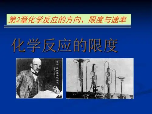 化学课件《化学反应的限度》优秀ppt15 鲁科版