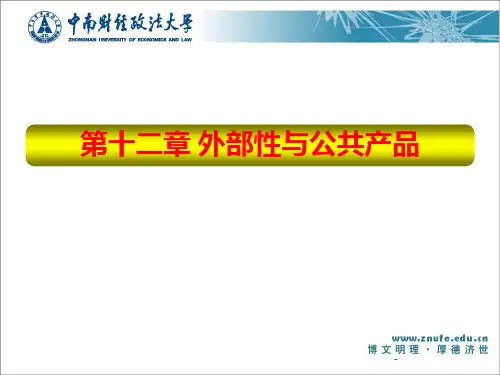 第十二章：外部性与公共产品PPT课件
