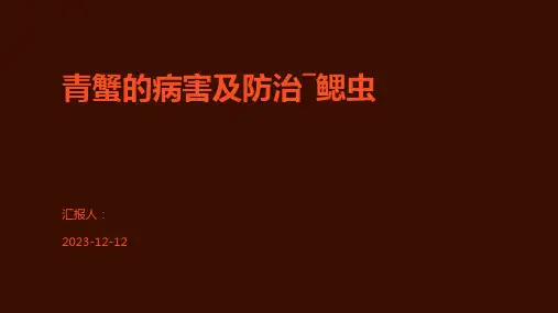 青蟹的病害及防治―鳃虫