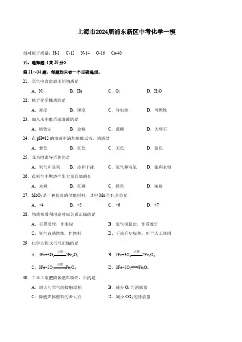 上海市2024届浦东新区中考化学一模