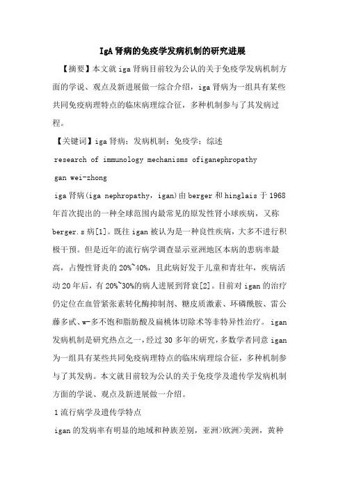 IgA肾病免疫学发病机制研究进展