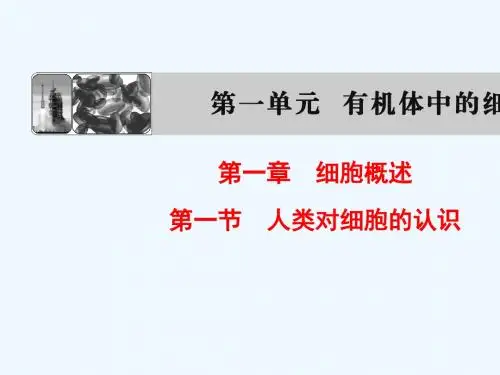 高中生物(中图版必修一)同步课件+第1单元+第1章+第1节 人类对细胞的认识