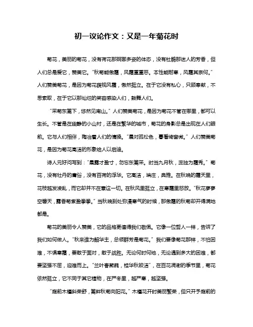 初一议论作文：又是一年菊花时