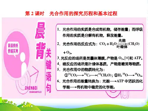 人教版生物必修1课件：第5章 第4节 第2课时 光合作用的探究历程和基本过程