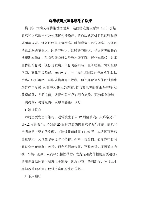 鸡滑液囊支原体感染的诊疗