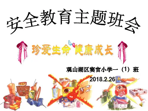 生命安全教育主题班会(珍爱生命 健康成长)pptppt课件