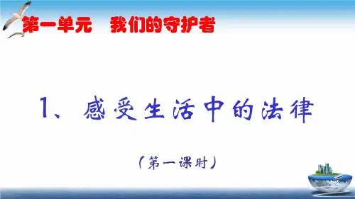 部编版《感受生活中的法律》PPT优质课件完美1
