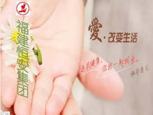 恒安集团战略分析