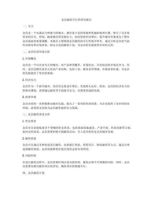 金昌融资可行性研究报告