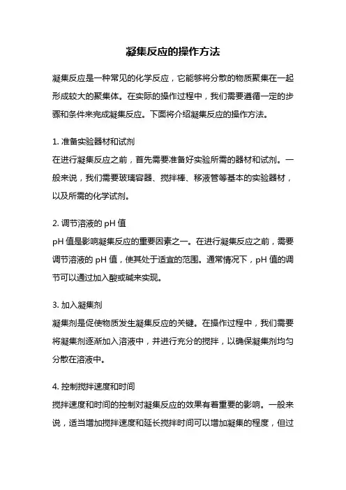 凝集反应的操作方法