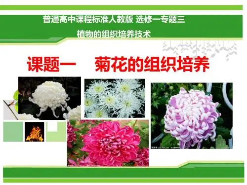 生物：3.1《菊花的组织培养》