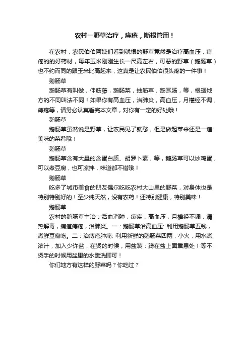 农村一野草治疗，痔疮，断根管用！