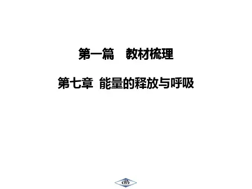 江苏专用2020中考苏科版生物教材梳理：第7章  能量的释放和呼吸(共98张PPT)
