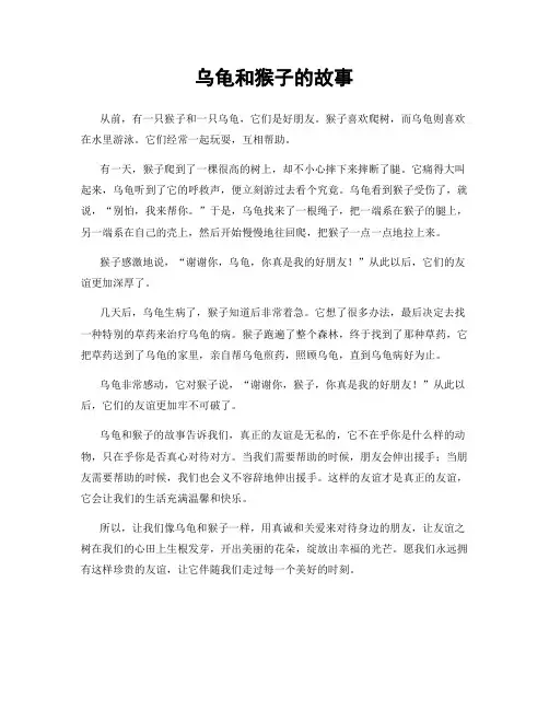 乌龟和猴子的故事