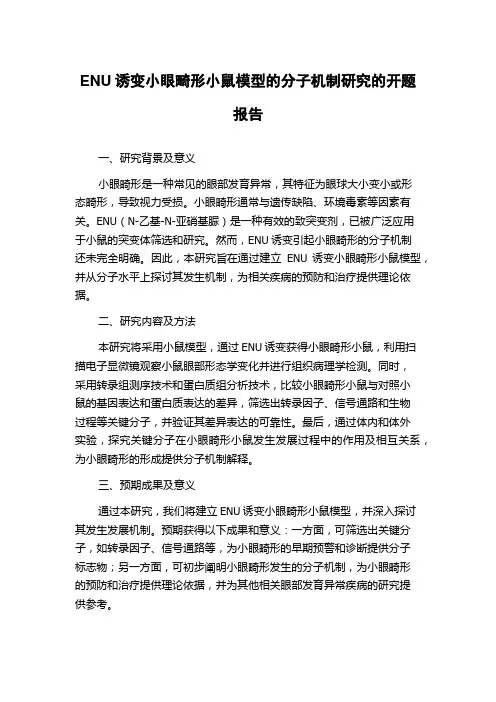 ENU诱变小眼畸形小鼠模型的分子机制研究的开题报告