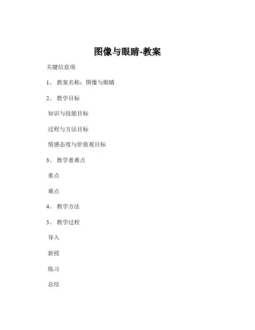 图像与眼睛-教案