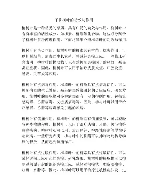 干柳树叶的功效与作用
