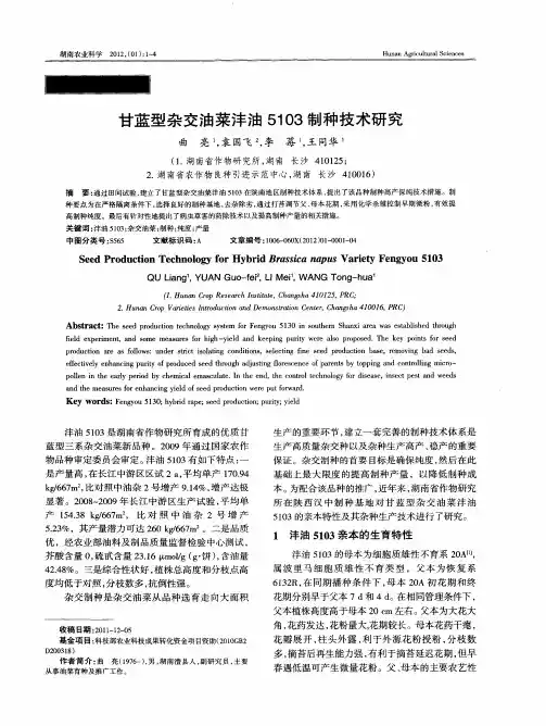 甘蓝型杂交油菜沣油5103制种技术研究