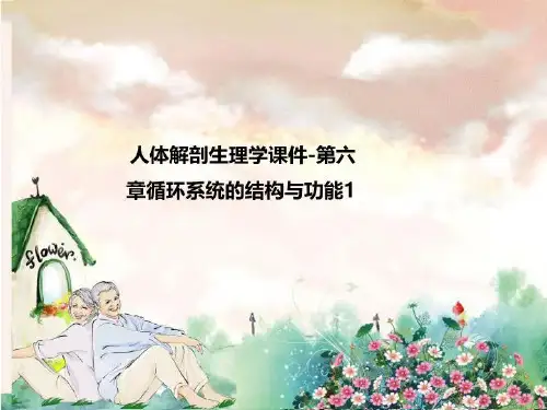 人体解剖生理学课件-第六章循环系统的结构与功能1