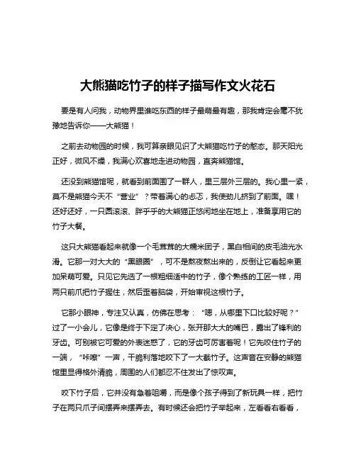 大熊猫吃竹子的样子描写作文火花石