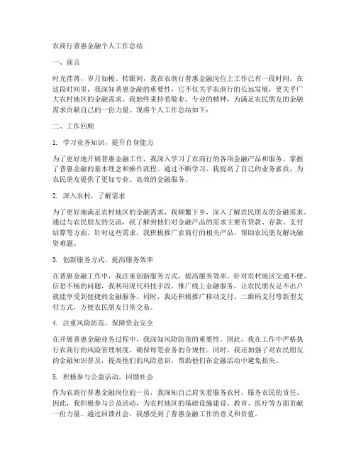 农商行普惠金融个人工作总结