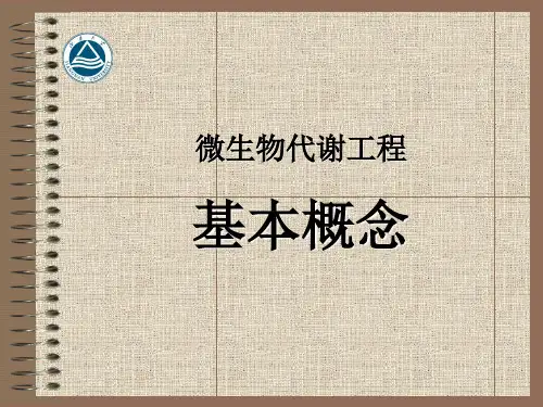 代谢工程基本概念.ppt