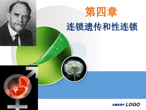 连锁遗传和性连锁ppt课件